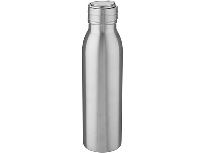 Бутылка для воды с металлической петлей Harper, 700 мл (Серебристый)