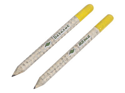 Набор Растущий карандаш mini, 2 шт. с семенами базилика и мяты (Бело-серый/желтый)