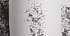 Термос "Крит" 500 мл, покрытие пудра, белый - Фото 3