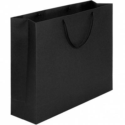 Пакет бумажный Ample L  (Черный)