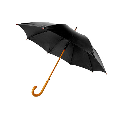 Зонт-трость Arwood   (Черный)