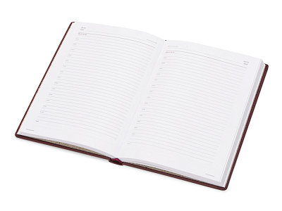 Ежедневник недатированный А5 Velvet