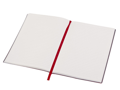 Блокнот в гибкой обложке А5 Bradbury