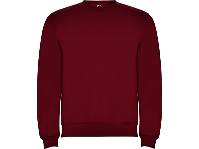 Свитшот с начесом Clasica детский (Гранатовый)