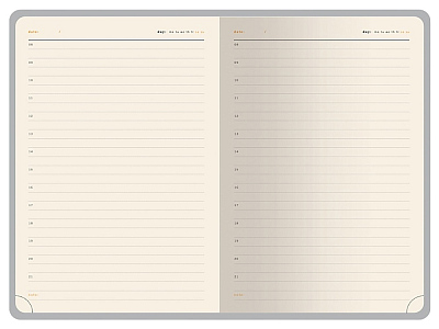 Ежедневник недатированный А5 Parliament