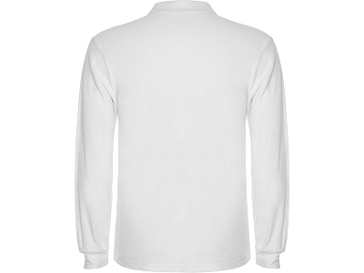Рубашка поло Estrella мужская с длинным рукавом