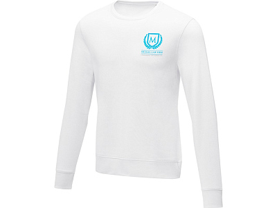 Свитер с круглым вырезом Zenon мужской