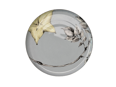 Тарелка PLATE 2 BER