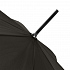 Зонт-трость Dublin, черный - Фото 2