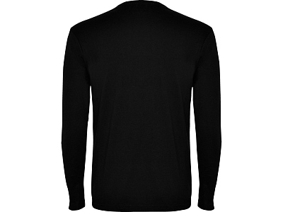 Футболка с длинным рукавом Pointer мужская