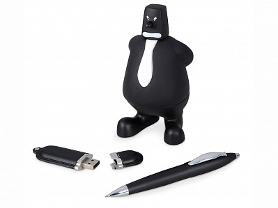 Набор: блекмэн Майк, USB-флешка на 4 Гб, ручка шариковая (Черный)