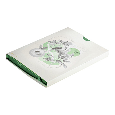 Бизнес-блокнот "RILY", формат А5,  зеленый, блок в точку