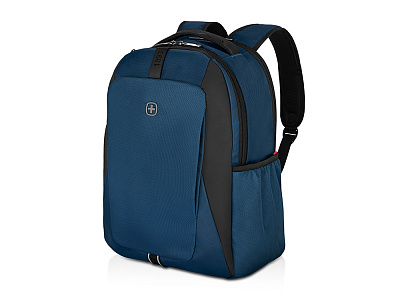 Рюкзак XE Professional с отделением для ноутбука 15.6 (Синий)