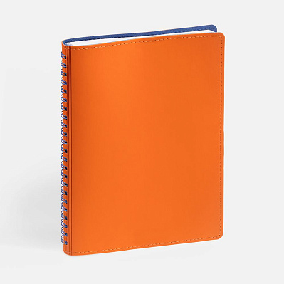 Ежедневник Spring Shall, недатированный  (Оранжевый)