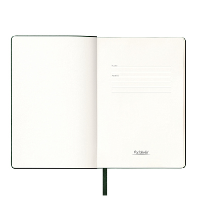 Ежедневник Спарк (Spark) недатированный, зеленый (без упаковки, без стикера)