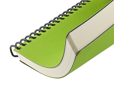 Ежедневник недатированный А5 Agenda