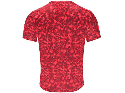 Спортивная футболка Assen мужская