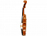 Подарочный набор Скрипка Паганини - Фото 5