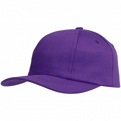 Бейсболка Bizbolka Capture, фиолетовая (Фиолетовый)