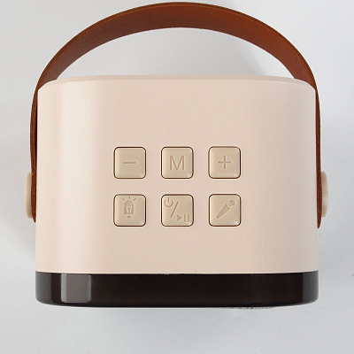 Караоке станция "Duet", бежевый