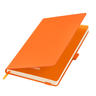 Ежедневник Alpha недатированный, черный/бежевый (Оранжевый, бежевый)