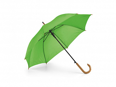 Зонт с автоматическим открытием PATTI (Светло-зеленый)