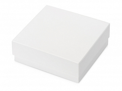 Подарочная коробка Obsidian M (Белый)
