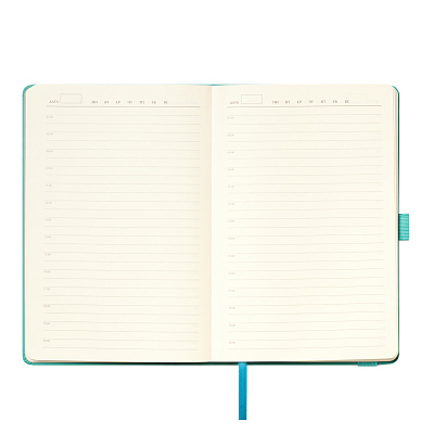 Ежедневник Альфа (Alpha) недатированный, бирюзовый/серый