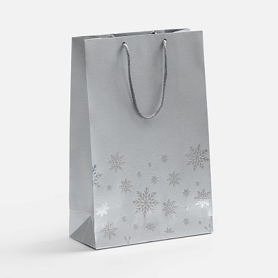 Пакет Wintry  (Серебристый)