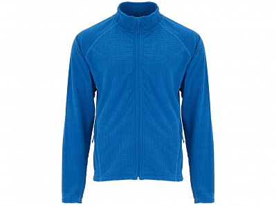 Куртка флисовая Denali мужская (Королевский синий)