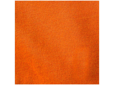 Толстовка Arora мужская с капюшоном