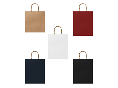 Пакет бумажный ROBLE