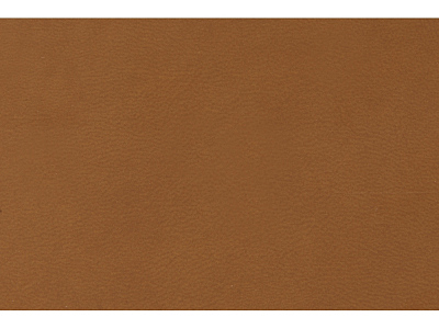 Ежедневник недатированный А5 Megapolis Flex