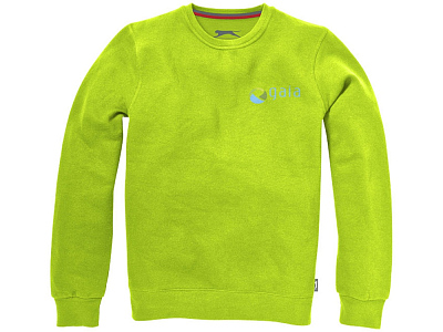 Толстовка Toss мужская