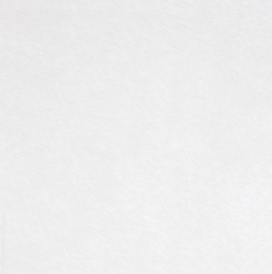 Заготовка из фетра Felt 50, белая (Белый)