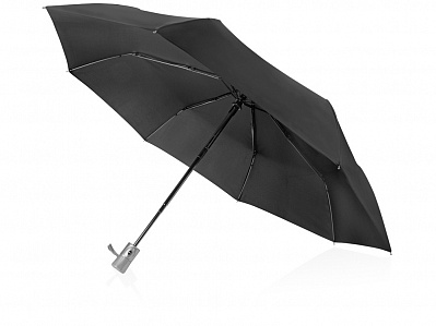 Зонт складной Леньяно (Черный/серебристый)