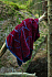 Полотенце In Leaf, большое, синее с бордовым - Фото 8