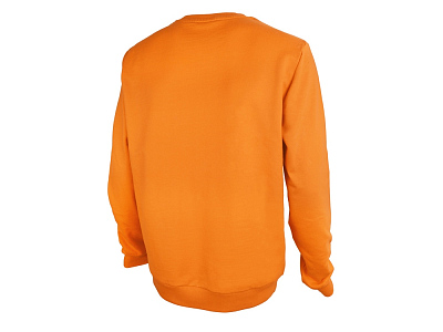 Свитшот Motion с начесом, унисекс