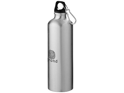 Алюминиевая бутылка Oregon с карабином