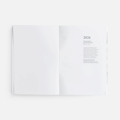 Ежедневник Baza, датированный, серый