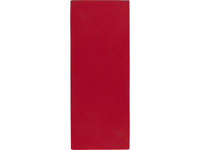 Полотенце спортивное Althea, 30х80 см