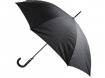 Зонт-трость Алтуна (Черный)