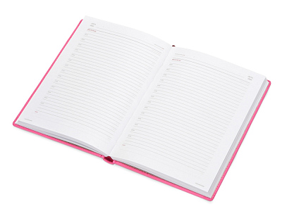 Ежедневник недатированный А5 Velvet