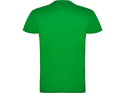 Футболка Beagle мужская