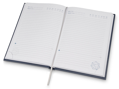 Ежедневник недатированный А5 Probe AR