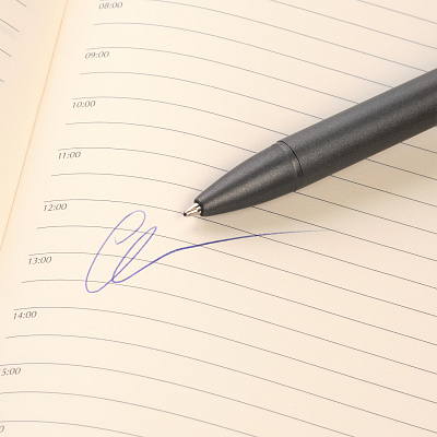 Шариковая ручка АйПи Хамелеон (IP Chameleon), зеленая