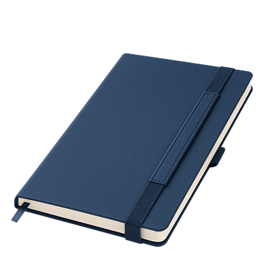 Ежедневник Альфа (Alpha) недатированный, синий/голубой