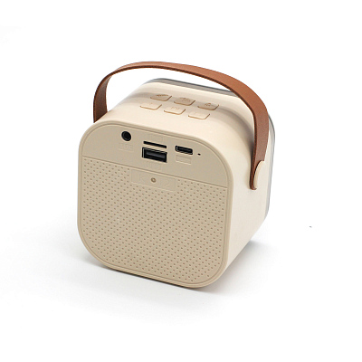 Караоке станция "Duet", бежевый