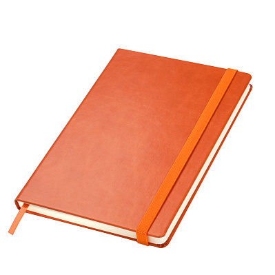 Ежедневник Portland BtoBook недатированный  (без упаковки, без стикера) (Оранжевый)