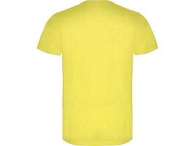 Футболка Akita мужская